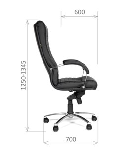 Офисное кресло CHAIRMAN 480 Экокожа премиум черная в Петрозаводске - предосмотр 2